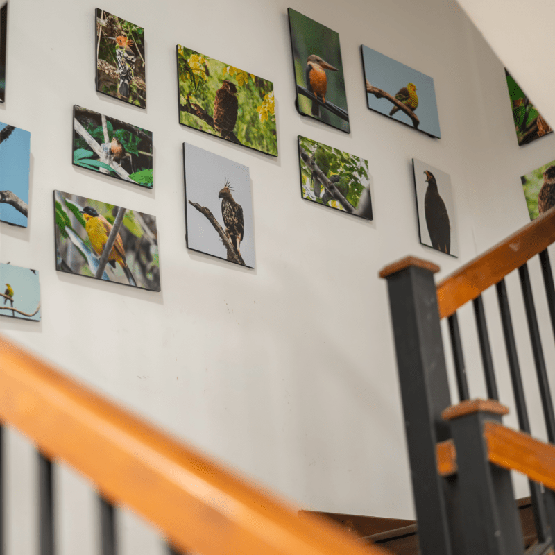 gallery-10-min